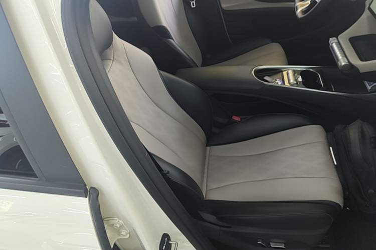Used BYD Dolphin 2023 420 km Fashion Edition Right Front Seat