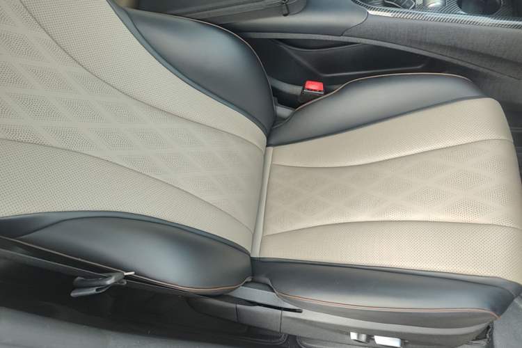 Used BYD Dolphin 2023 420 km Fashion Edition Right Front Seat
