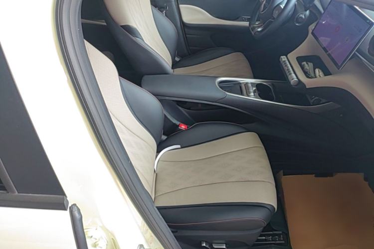Used BYD Dolphin 2023 420 km Fashion Edition Right Front Seat
