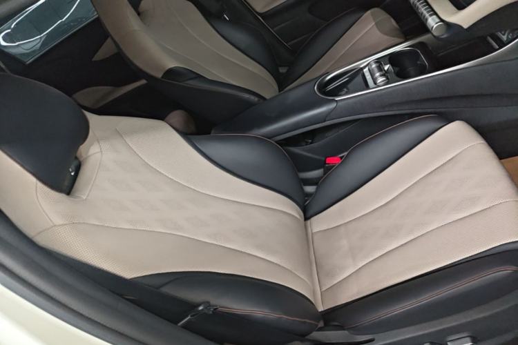 Used BYD Dolphin 2023 420 km Fashion Edition Right Front Seat