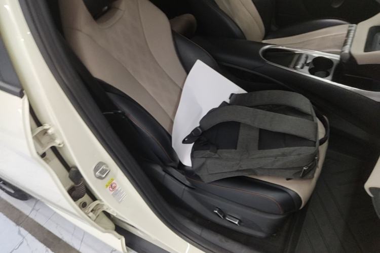 Used BYD Dolphin 2023 420 km Free Version Right Front Seat