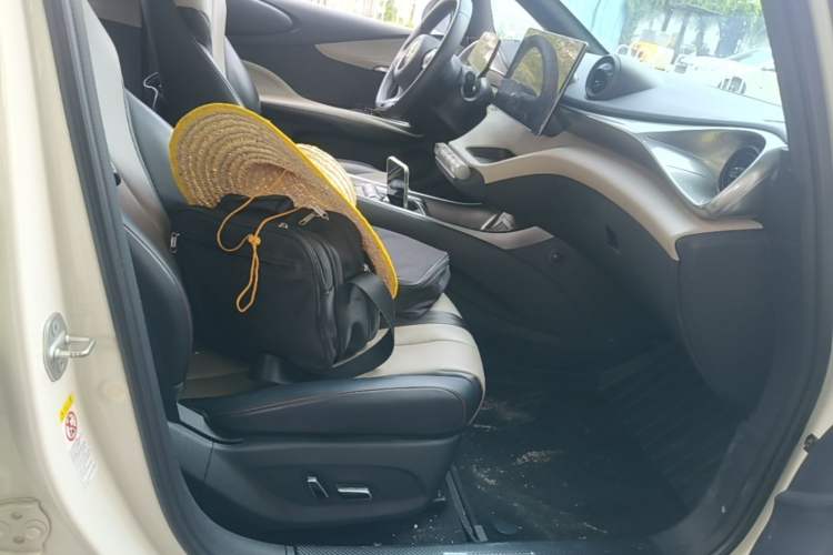Used BYD Dolphin 2023 420 km Fashion Edition Right Front Seat
