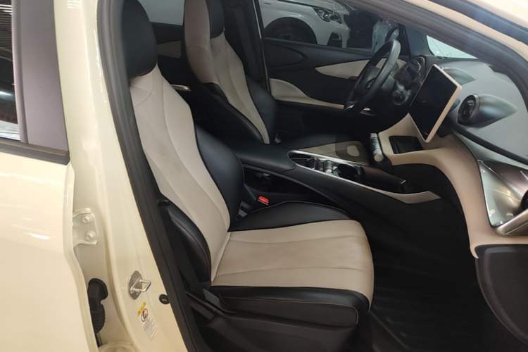 Used BYD Dolphin 2023 420 km Free Version Right Front Seat