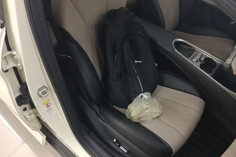Used BYD Dolphin 2023 420 km Fashion Edition Right Front Seat