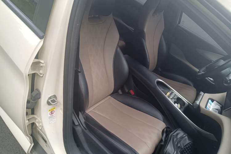 Used BYD Dolphin 2023 420 km Free Version Right Front Seat