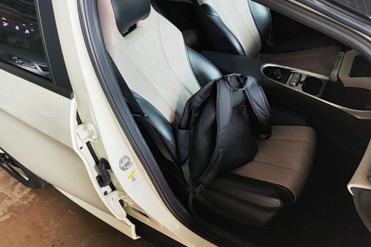 Used BYD Dolphin 2023 420 km Free Version Right Front Seat