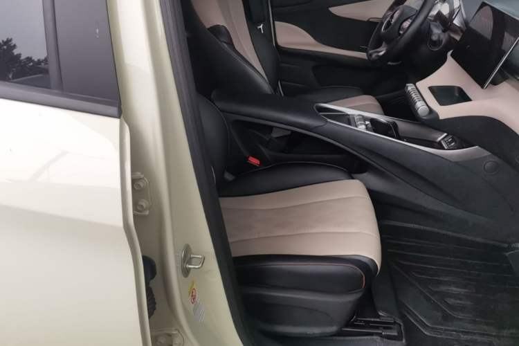 Used BYD Dolphin 2023 420 km Free Version Right Front Seat