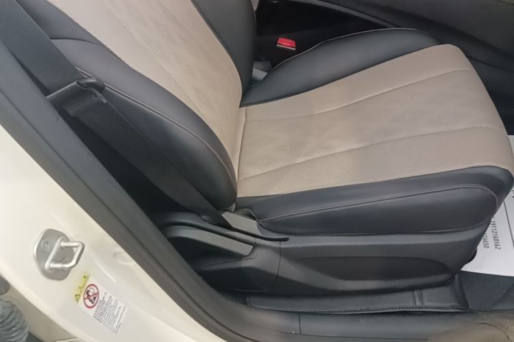 Used BYD Dolphin 2023 420 km Free Version Right Front Seat