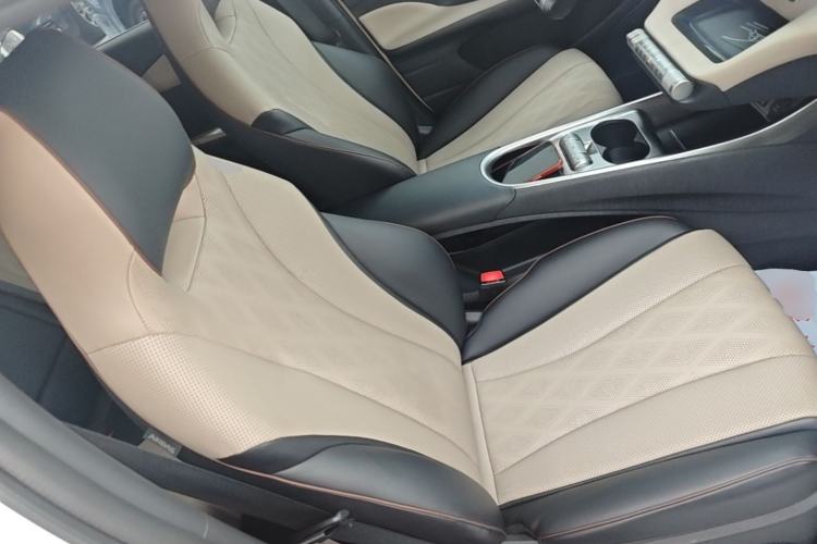 Used BYD Dolphin 2023 420 km Fashion Edition Right Front Seat