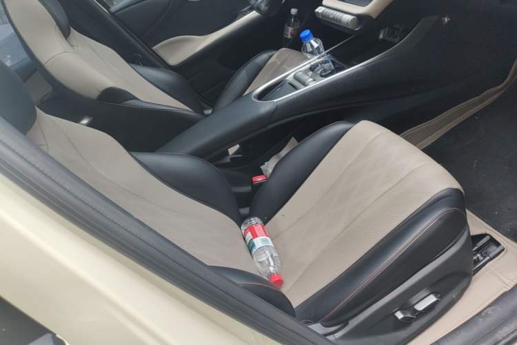 Used BYD Dolphin 2023 420 km Fashion Edition Right Front Seat