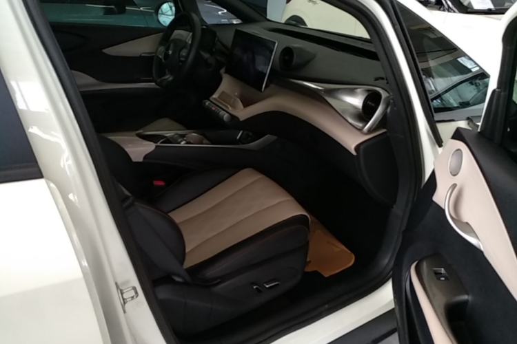 Used BYD Dolphin 2023 420 km Free Version Right Front Seat