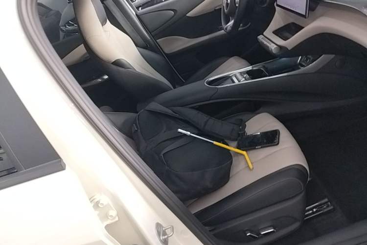 Used BYD Dolphin 2023 420 km Free Version Right Front Seat