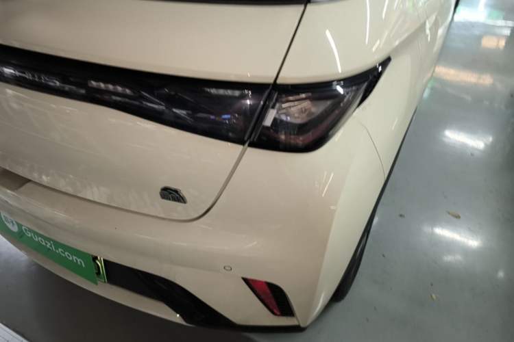 Used BYD Dolphin 2023 420 km Free Version Right Rear Taillight