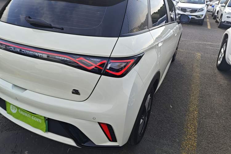 Used BYD Dolphin 2023 420 km Fashion Edition Right Rear Taillight