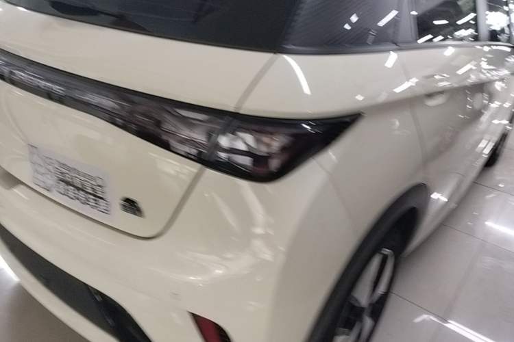 Used BYD Dolphin 2023 420 km Fashion Edition Right Rear Taillight