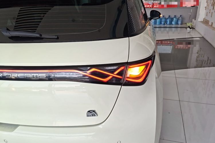 Used BYD Dolphin 2023 420 km Fashion Edition Right Rear Taillight