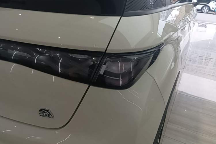 Used BYD Dolphin 2023 420 km Free Version Right Rear Taillight