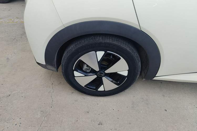 Used BYD Dolphin 2023 420 km Fashion Edition Right Rear Wheel Hub
