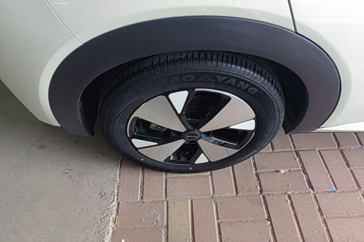 Used BYD Dolphin 2023 420 km Fashion Edition Right Rear Wheel Hub