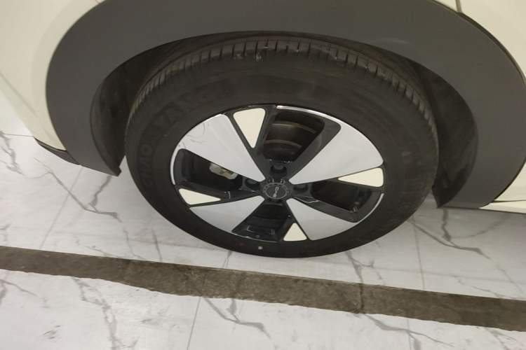 Used BYD Dolphin 2023 420 km Free Version Right Rear Wheel Hub