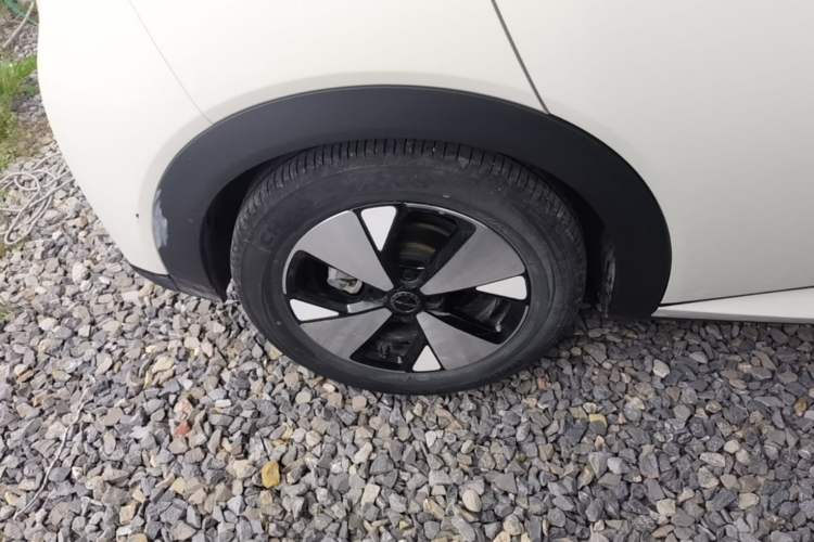 Used BYD Dolphin 2023 420 km Free Version Right Rear Wheel Hub