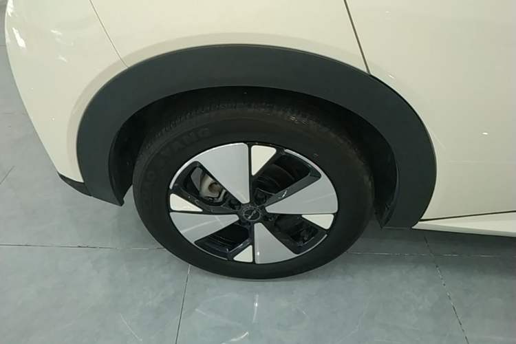 Used BYD Dolphin 2023 420 km Fashion Edition Right Rear Wheel Hub