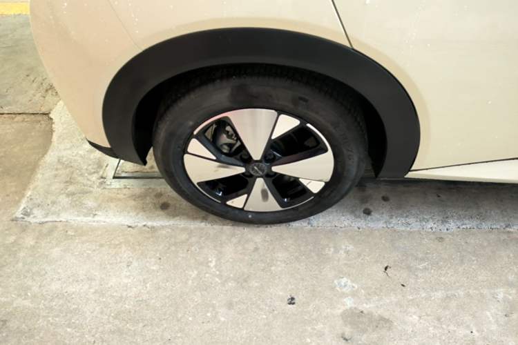 Used BYD Dolphin 2023 420 km Fashion Edition Right Rear Wheel Hub