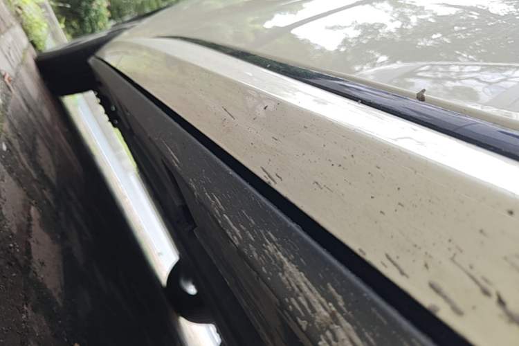 Used BYD Dolphin 2023 420 km Fashion Edition Right Side Sill