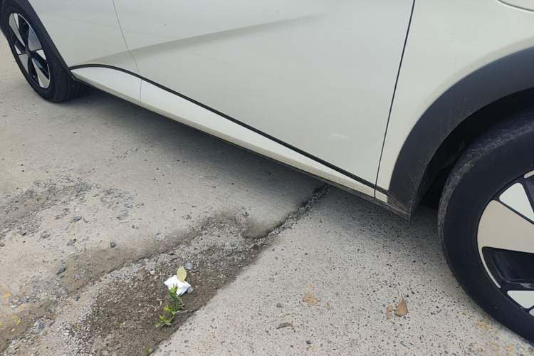 Used BYD Dolphin 2023 420 km Fashion Edition Right Side Sill