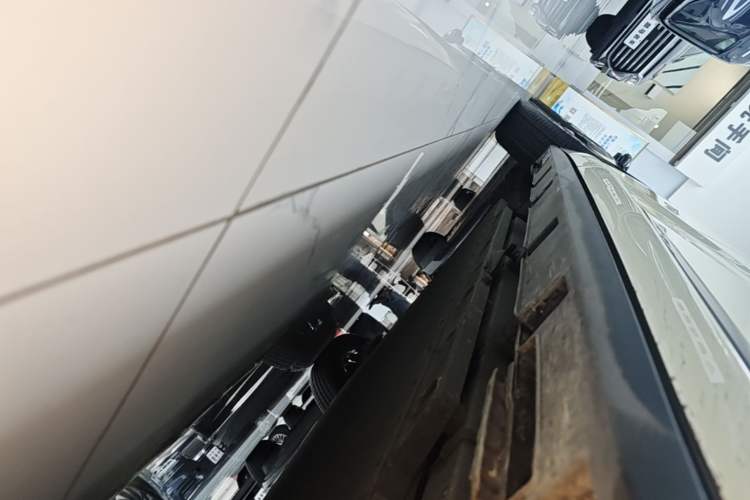 Used BYD Dolphin 2023 420 km Fashion Edition Right Side Sill