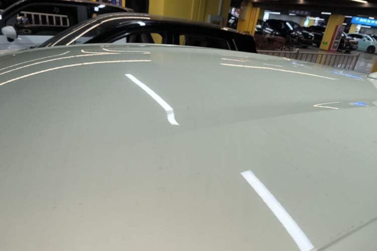Used BYD Dolphin 2023 420 km Free Version Roof