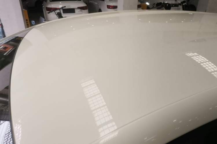 Used BYD Dolphin 2023 420 km Free Version Roof