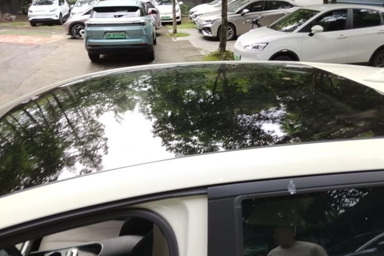 Used BYD Dolphin 2023 420 km Fashion Edition Roof