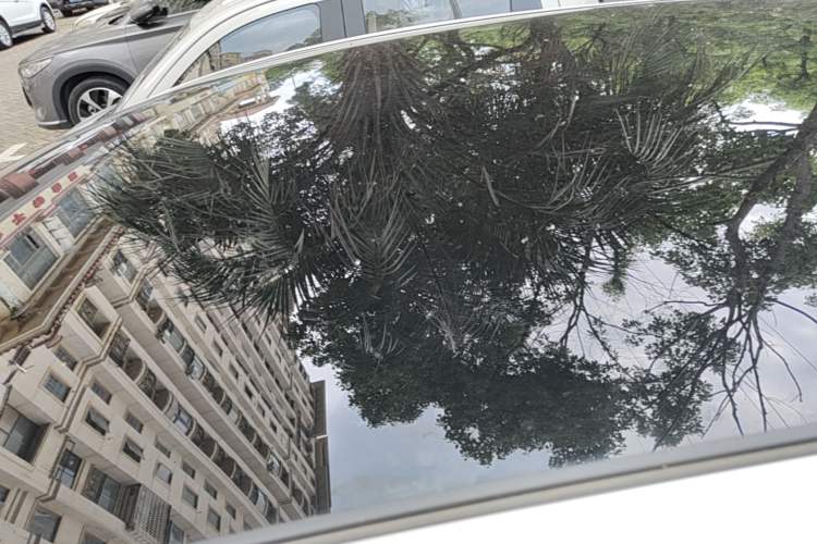 Used BYD Dolphin 2023 420 km Fashion Edition Roof