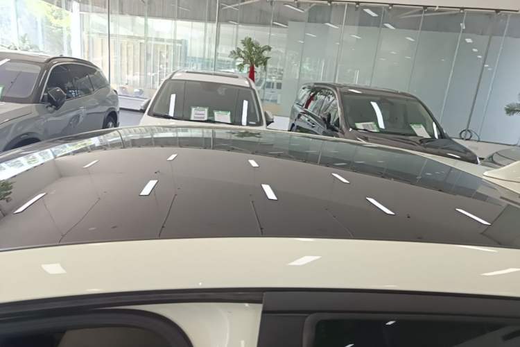 Used BYD Dolphin 2023 420 km Fashion Edition Roof
