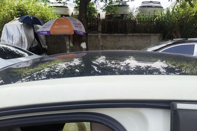 Used BYD Dolphin 2023 420 km Fashion Edition Roof