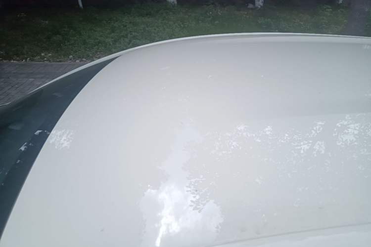 Used BYD Dolphin 2023 420 km Free Version Roof