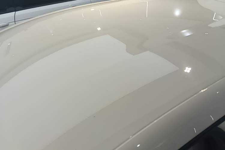 Used BYD Dolphin 2023 420 km Free Version Roof