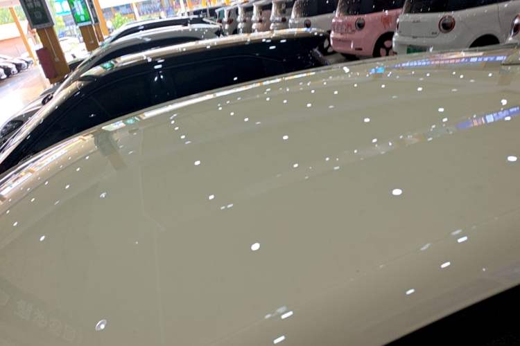 Used BYD Dolphin 2023 420 km Free Version Roof
