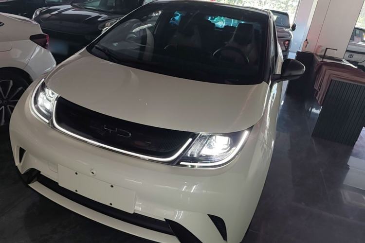 BYD Dolphin 2023 420 km Free Version