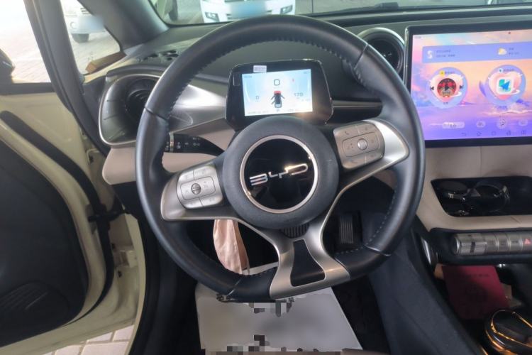 Used BYD Dolphin 2023 420 km Free Version Steering Wheel
