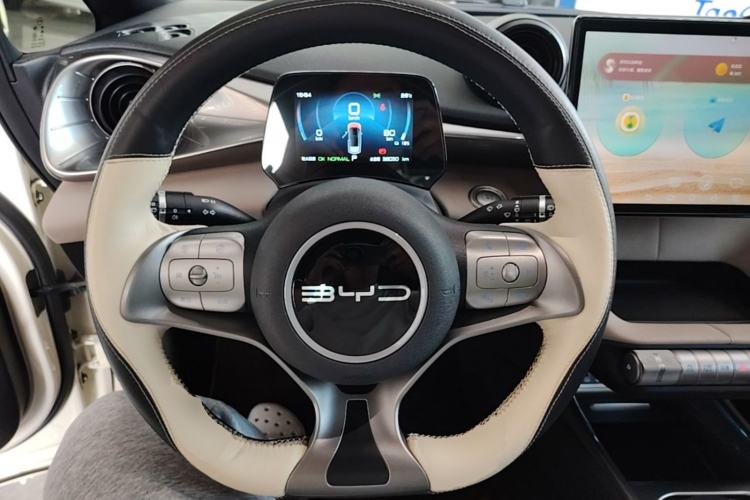 Used BYD Dolphin 2023 420 km Free Version Steering Wheel