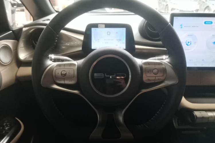 Used BYD Dolphin 2023 420 km Free Version Steering Wheel