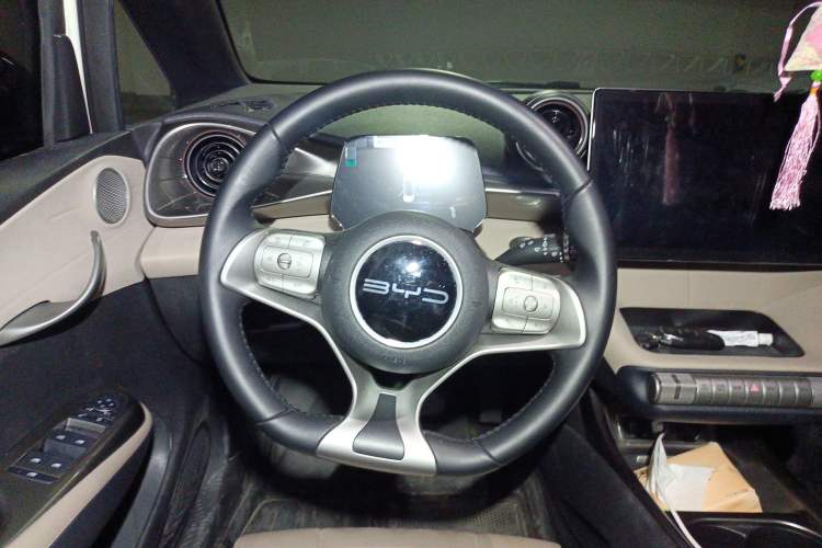 Used BYD Dolphin 2023 420 km Free Version Steering Wheel