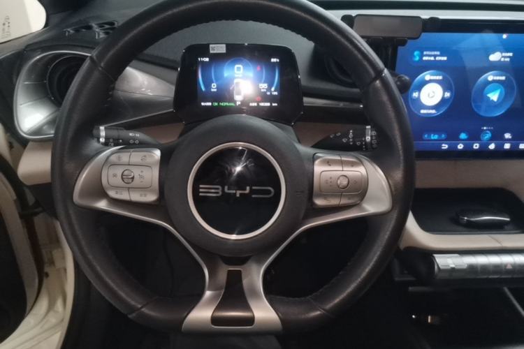 Used BYD Dolphin 2023 420 km Free Version Steering Wheel
