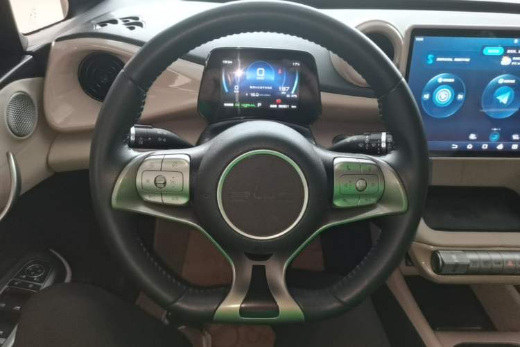 Used BYD Dolphin 2023 420 km Free Version Steering Wheel