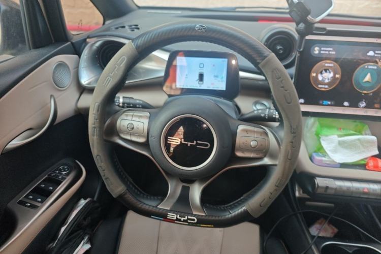 Used BYD Dolphin 2023 420 km Free Version Steering Wheel