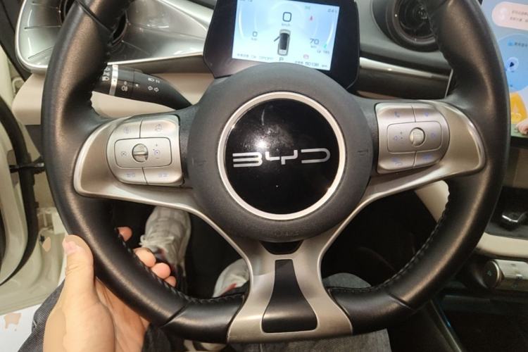 Used BYD Dolphin 2023 420 km Free Version Steering Wheel