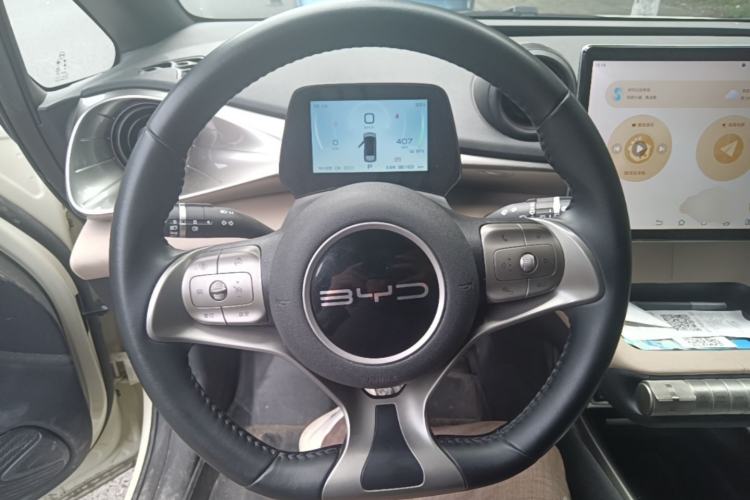 Used BYD Dolphin 2023 420 km Free Version Steering Wheel