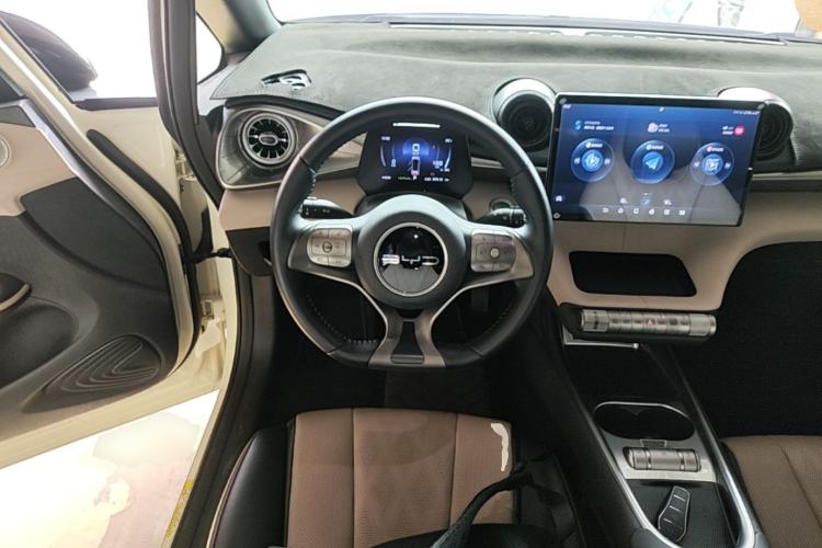 Used BYD Dolphin 2023 420 km Free Version Steering Wheel